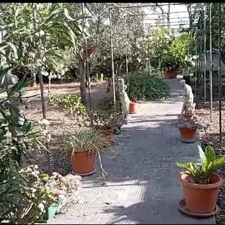 Il Carrubo Διαμέρισμα