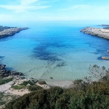 Il Carrubo